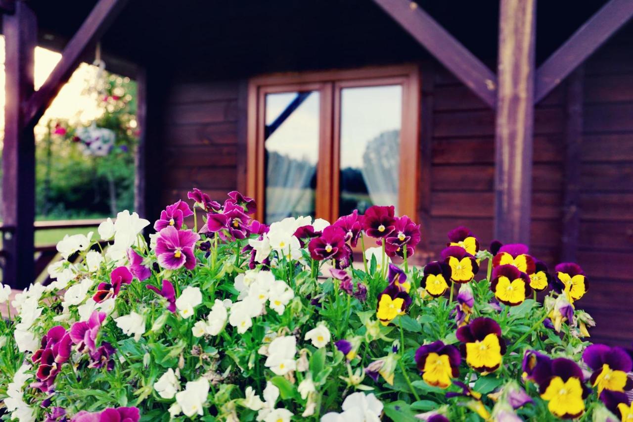 Monasteria Villa Stare Monasterzysko Dış mekan fotoğraf